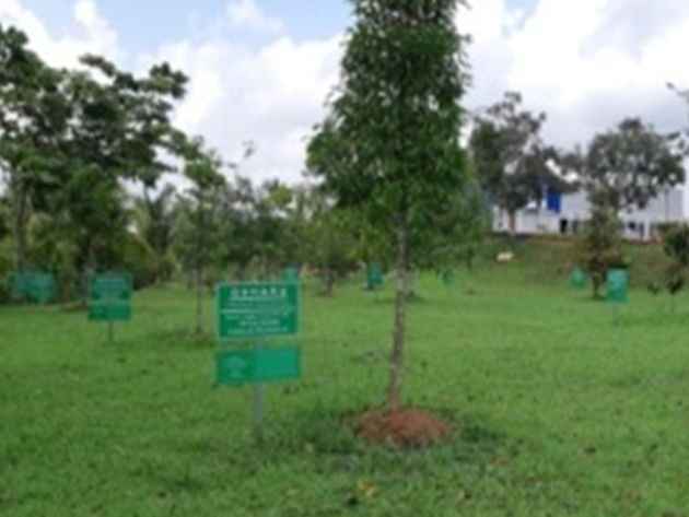 Rare vegetation preserve on the plant’s premises (Indonesia)