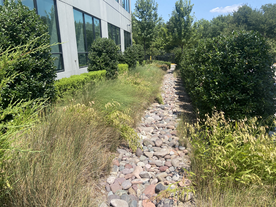 Hensley's Dallas facility：Bioswale and Pollinator Garden