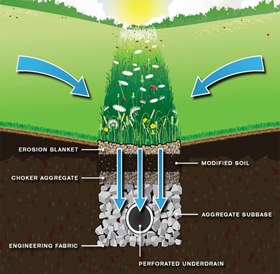 Bioswale